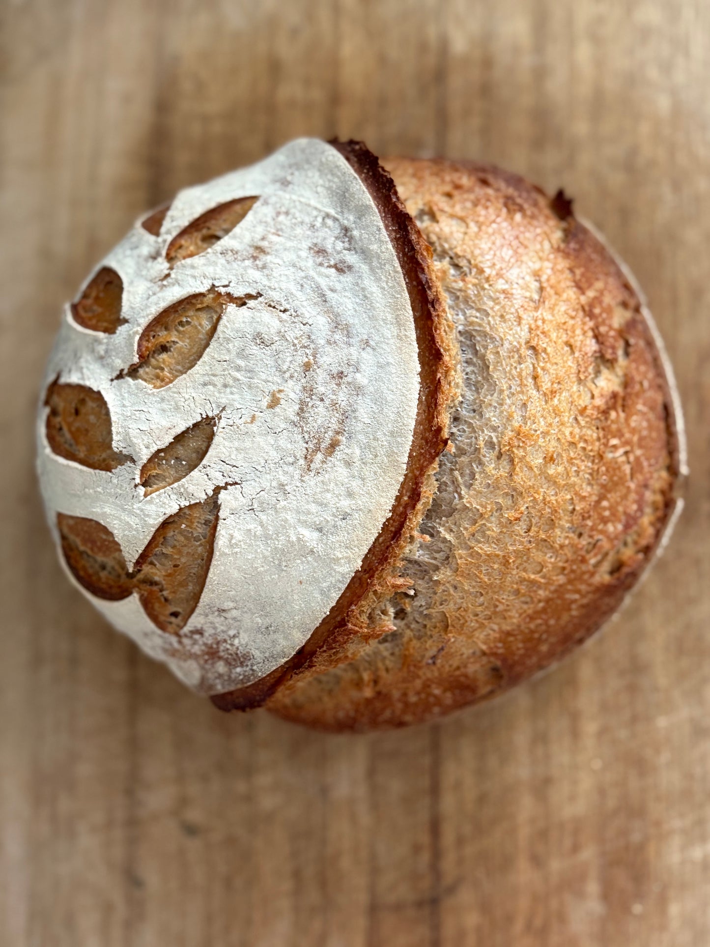Sourdough Bread