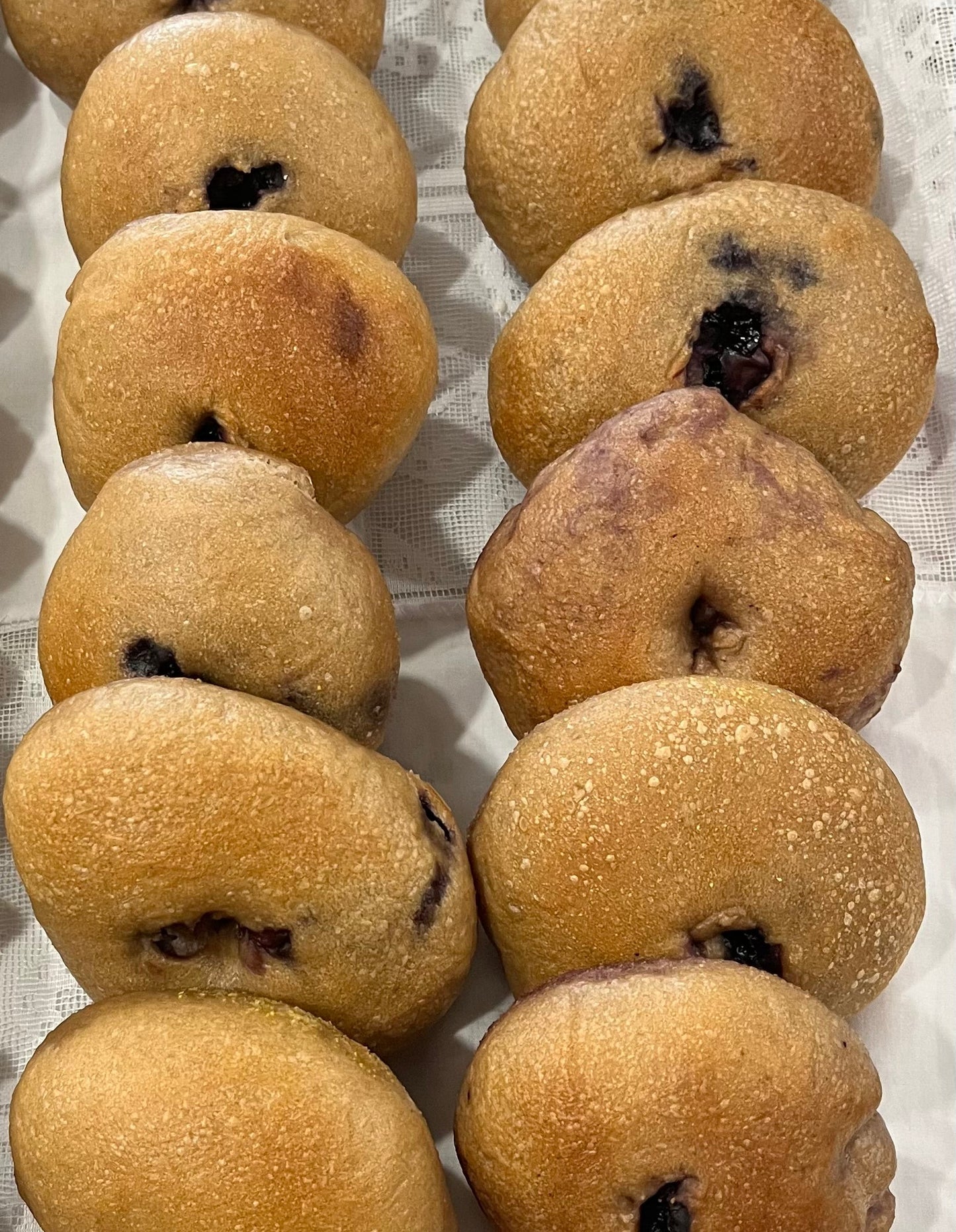 Blueberry Sourdough Bagels (4)